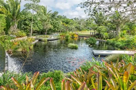  Plants for Paradise: A Brazilian Horticultural Tapestry - Unfolding Exotic Landscapes and Cultivating Dreams with Nature