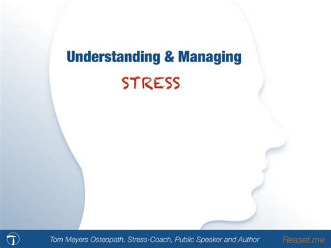  Your Brain on Stress: A Comprehensive Guide to Understanding and Managing Stress – Journey into the Labyrinthine Mind